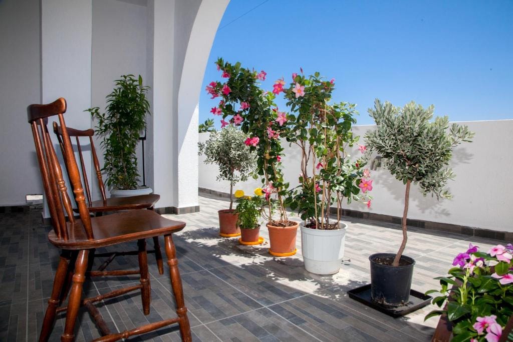 Σκιερό καθιστικό αυλής με θέα στο Αιγαίο
